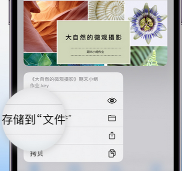 昌宁apple维修中心分享iPhone文件应用中存储和找到下载文件