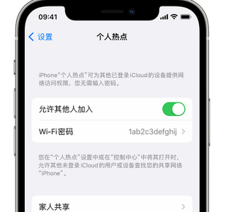 昌宁apple服务站点分享iPhone上个人热点丢失了怎么办 