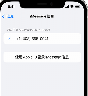 昌宁apple维修iPhone上无法正常发送iMessage信息 