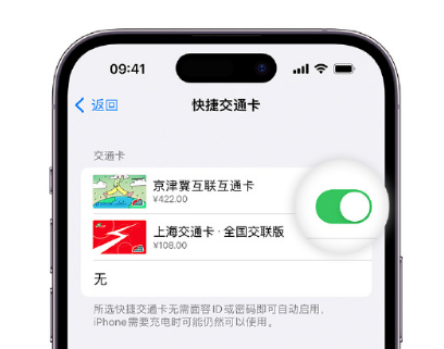 昌宁apple维修点分享iPhone上更换Apple Pay快捷交通卡手绘卡面 