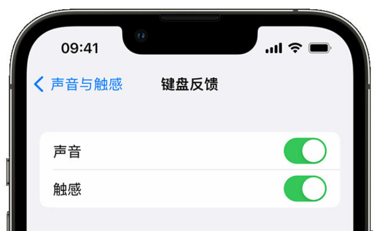 昌宁苹果手机维修分享iPhone 14触感键盘使用方法 