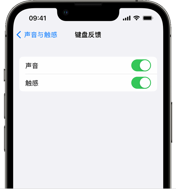 昌宁苹果14维修店分享如何在 iPhone 14 机型中使用触感键盘 