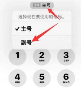 昌宁苹果14维修店分享iPhone 14 Pro Max使用副卡打电话的方法 