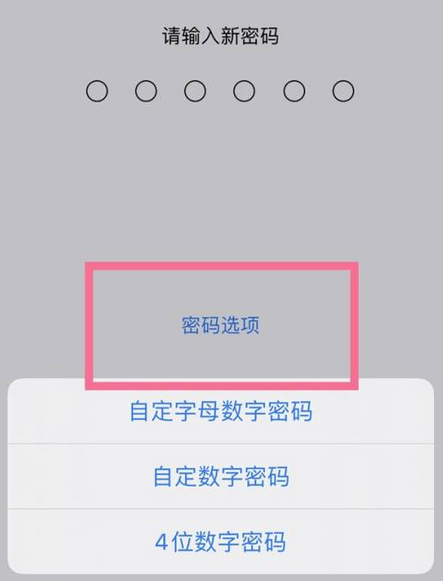 昌宁苹果14维修分享iPhone 14plus设置密码的方法 