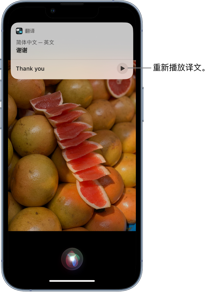 昌宁苹果14维修分享 iPhone 14 机型中使用 Siri：了解 Siri 能帮你做什么 