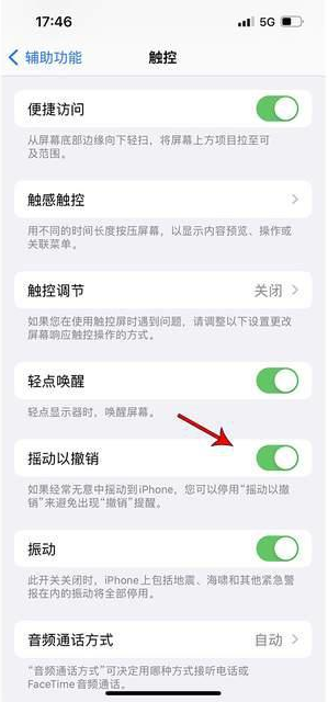 昌宁苹果手机维修分享iPhone手机如何设置摇一摇删除文字 